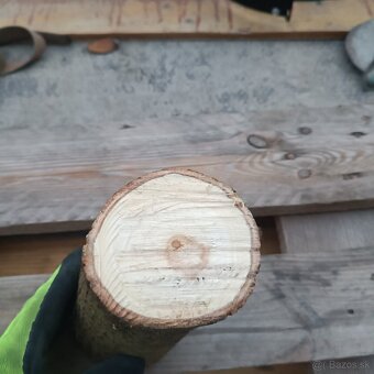 Štiepkovac špalikovac - 5