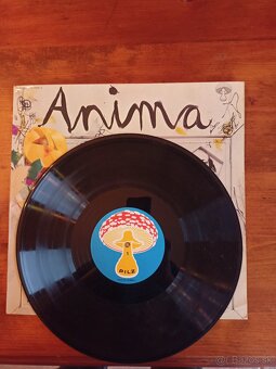 Jazz - 5