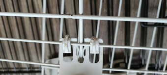 Klietka (extra veľká) a komplet výbava pre zajaca/morčatá - 5