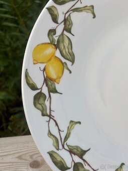 Bernadotte podnos s lopatkou - 5