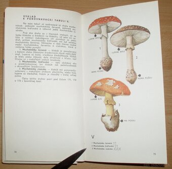 Naše huby - 5