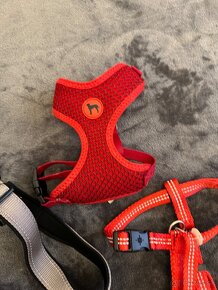 Postroje  LMS  pre psov Nove znackove - 5