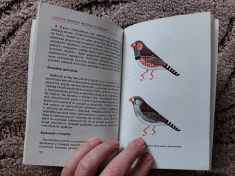 Chováme zebričky, pestúnky a ryžovníky - 5