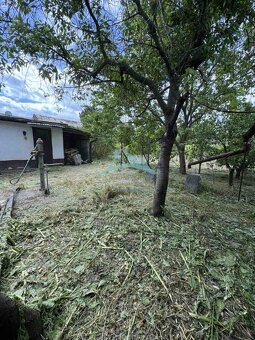 Na predaj: Rodinný dom v Šahách – časť Homok - 5