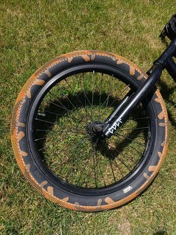 BMX Cult control 2019 - 5