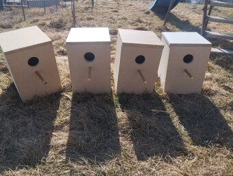 Hniezdiaca búdky - 5