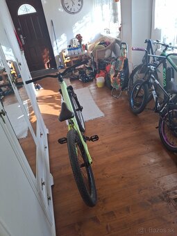 CTM Dirtking - 5