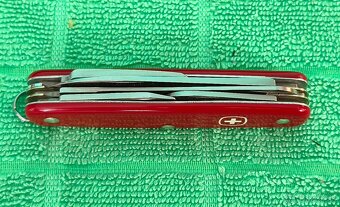 Wenger Delémont Professional 1.72.31 - 5