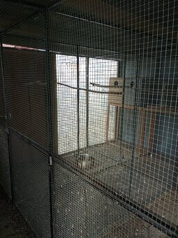 Predám volieru pre vtáky - 5