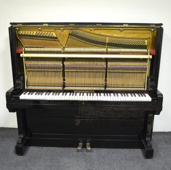 Koncertní pianino C.BECHSTEIN + židlička. ZÁRUKA. - 5