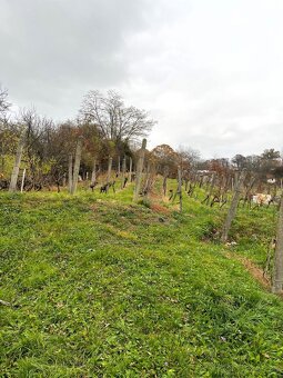 Rekreačný domček so širokým slnečným pozemkom, Staré Levice - 5