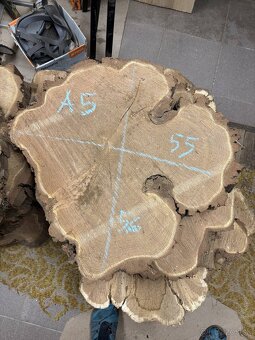 Vysušené agátové koláče / priečne rezy, agát - 5