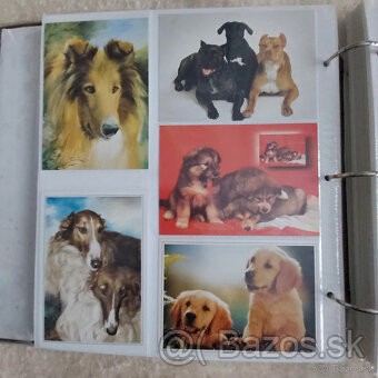 cca 150 pohľadníc zvierat - 5