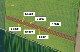 Vráble – 4.859 m2 ORNÁ pôda - PREDAJ - 5