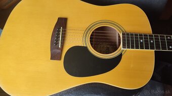 Gitara Mitchell. s puzdrom - 5