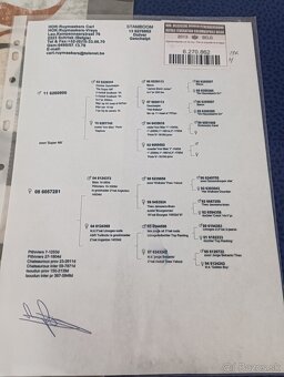 Poštové holuby - 5