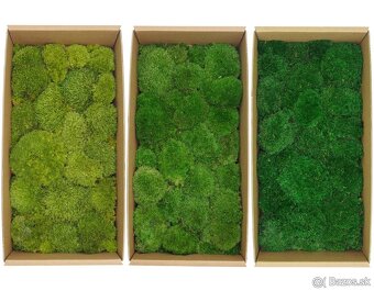 Stabilizovaný mach na výrobu vlastných obrazov - 5