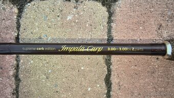 Prút Delphin impala carp - 5