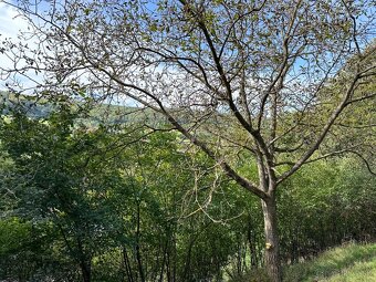 Pozemok pre rodinné domy na predaj - 5