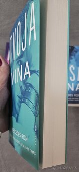 Séria kníh od Mercedes Ron - 5