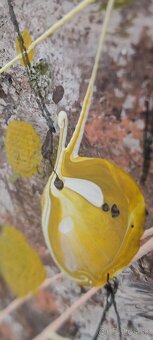 Maľovaný obraz 1500 x1000mm - 5