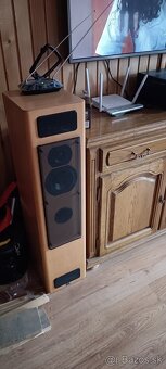T+A criterion TB 100 - 5