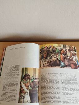 Ilustrovana Biblia. - 5
