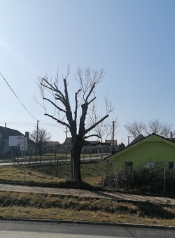 Rizikové pílenie - 5