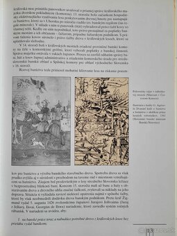 Od lesov kráľovských k lesom štátnym - 5