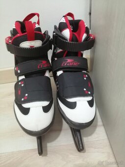 CRANE hviezdičkové - 5