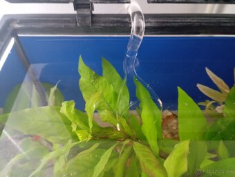 Akvarium 65l zabehnuté. - 5