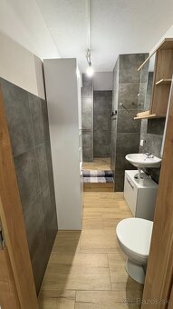 Prenájom 3 izb.apartmán z predzáhradkou BA II Závodná ul - 5