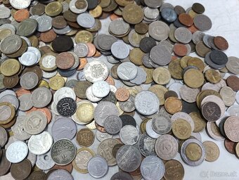 Mince 2.5kg lot4 - 5