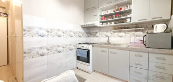 Slnečný 1-izbový byt v mestskej časti Sásová v BB - 5