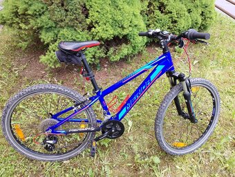 Detský bicykel Merida Matts J24 - 5