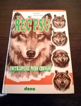 Mačky, psy, zvieratá, chov - 5