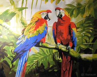 Zvieratá na obraze - 5