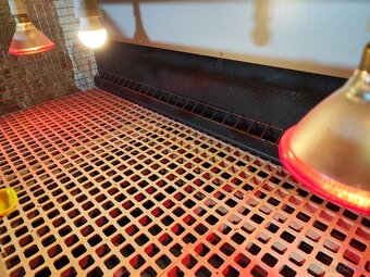 Špičkové odchovne pre hydinu – komplet vybavené - 5