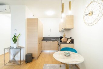 BABONY TREI Prenájom 2 izbový byt Panorama city bez provízie - 5