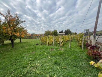 Na predaj rodinný dom v obci Viničky - 5