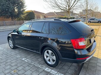 Octavia Scaut - 5