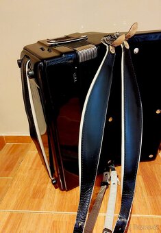 Royal Standard Selecta 120 basov cassotto - 5