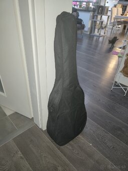 Gitara Sheffield - 5