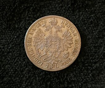 Florin / Zlatnik - 5