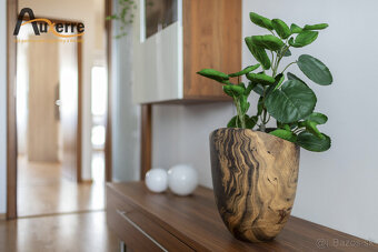 Priestranný 3-izbový byt v Starom Meste - Bratislava - 5