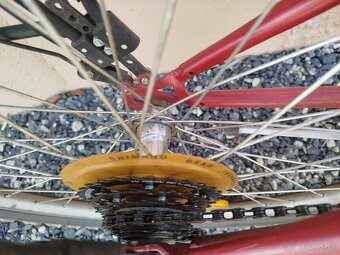 Damsky UNI Horsky bicykel-velkost 24 - 5