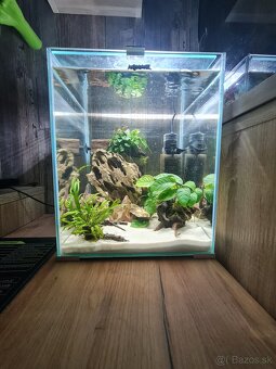 Nano akvárium - 5