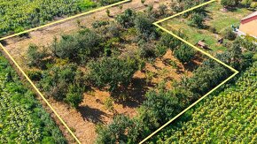 Ovocný sad, veľký stavebný pozemok s IS, obec Málaš, 2745m2 - 5