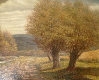 Wilhelm Otto - obrovský obraz v zlatom ráme 100x80 cm - 5