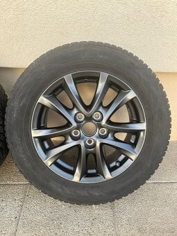 Zimna sada MAZDA R16 - 5